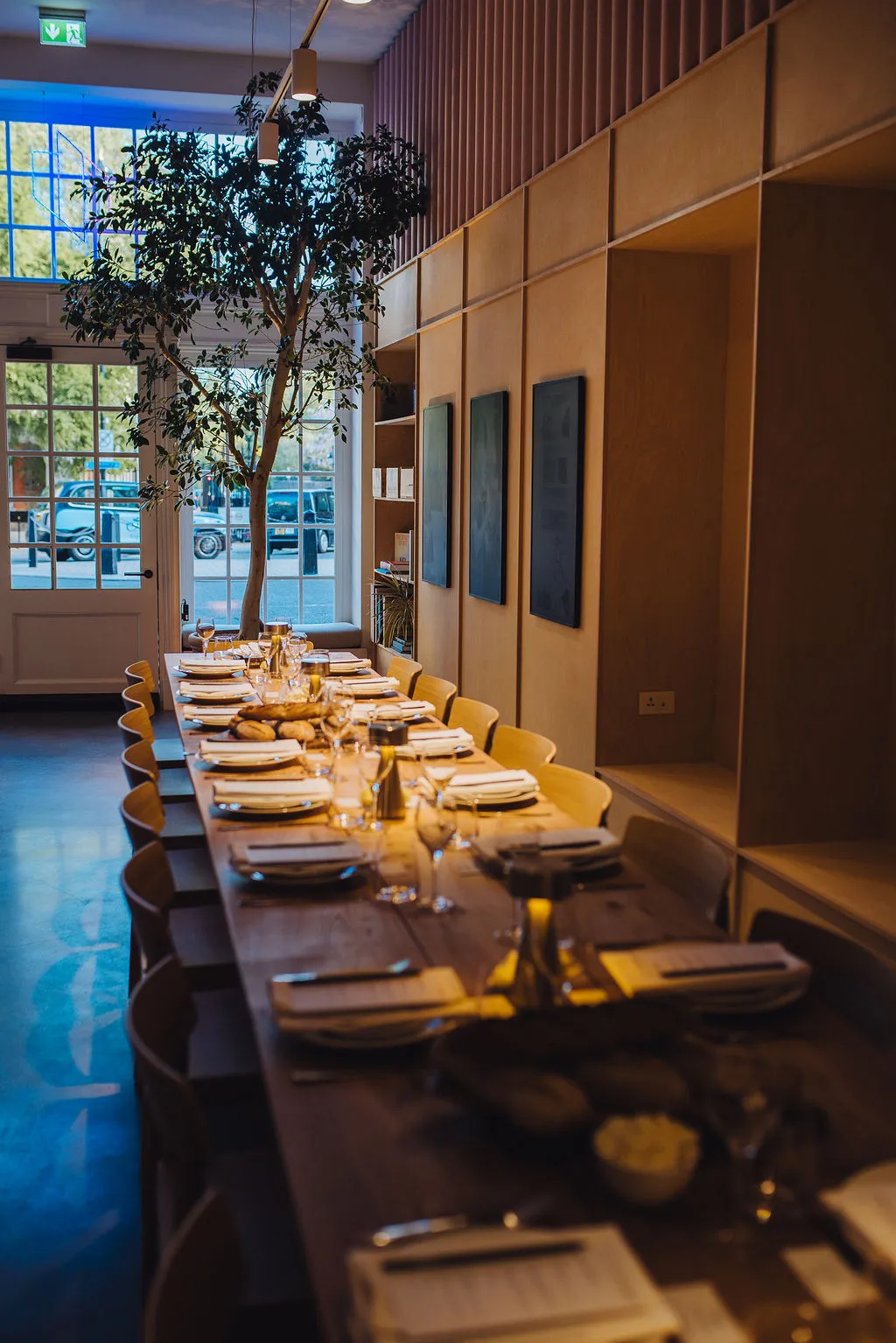 The long table beneath the olive tree